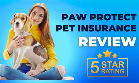 Paw protect insurance. Things To Know About Paw protect insurance. 